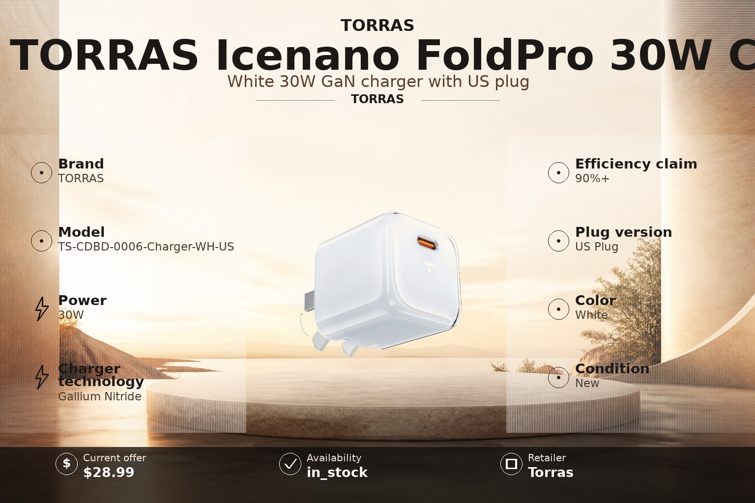 TORRAS Icenano FoldPro 30W Charger Review Guide